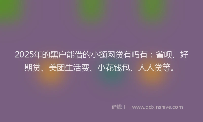 2025年的黑户能借的小额网贷有吗有：省呗、好期贷、美团生活费、小花钱包、人人贷等。
