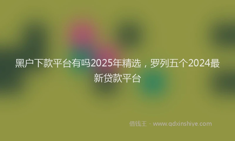 黑户下款平台有吗2025年精选，罗列五个2024最新贷款平台