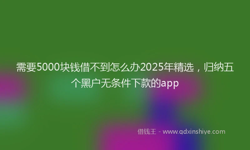 需要5000块钱借不到怎么办2025年精选，归纳五个黑户无条件下款的app