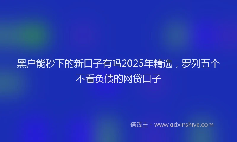 黑户能秒下的新口子有吗2025年精选，罗列五个不看负债的网贷口子