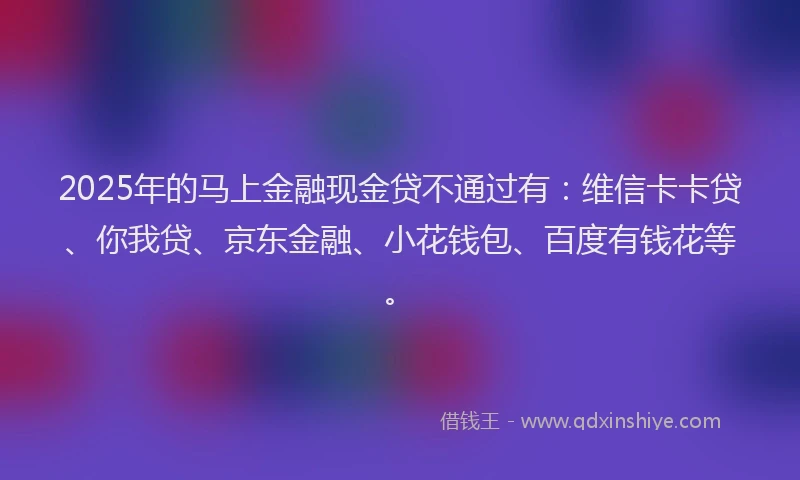 2025年的马上金融现金贷不通过有：维信卡卡贷、你我贷、京东金融、小花钱包、百度有钱花等。