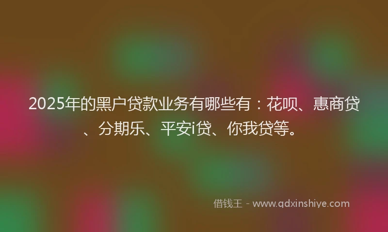 2025年的黑户贷款业务有哪些有：花呗、惠商贷、分期乐、平安i贷、你我贷等。