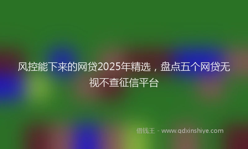 风控能下来的网贷2025年精选，盘点五个网贷无视不查征信平台
