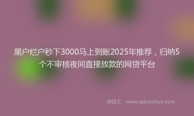 黑户烂户秒下3000马上到账2025年推荐，归纳5个不审核夜间直接放款的网贷平台