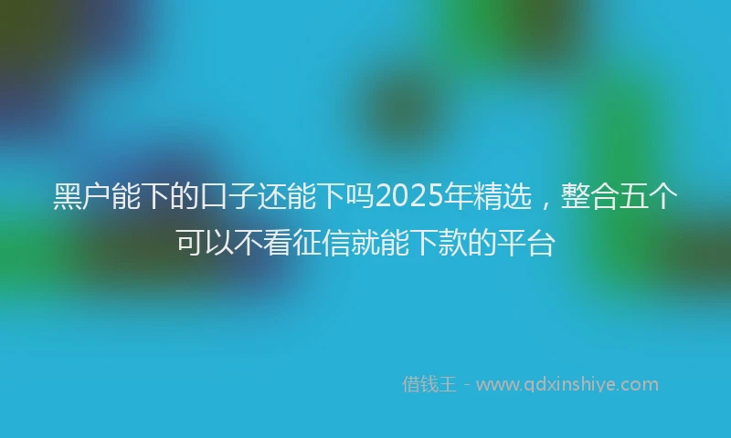 黑户能下的口子还能下吗2025年精选，整合五个可以不看征信就能下款的平台