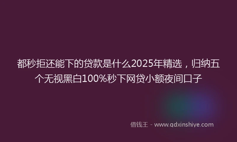 都秒拒还能下的贷款是什么2025年精选，归纳五个无视黑白100%秒下网贷小额夜间口子