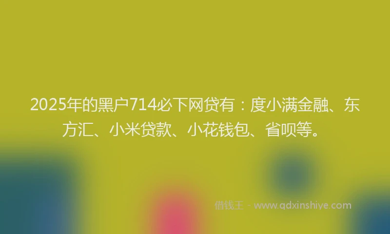 2025年的黑户714必下网贷有：度小满金融、东方汇、小米贷款、小花钱包、省呗等。