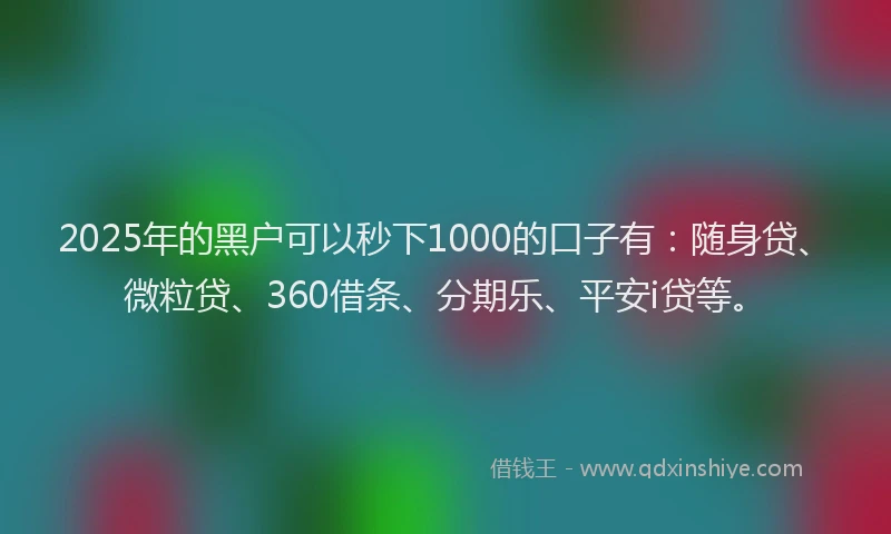 2025年的黑户可以秒下1000的口子有：随身贷、微粒贷、360借条、分期乐、平安i贷等。