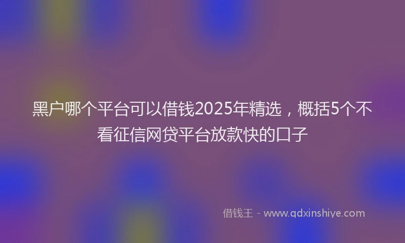 黑户哪个平台可以借钱2025年精选，概括5个不看征信网贷平台放款快的口子