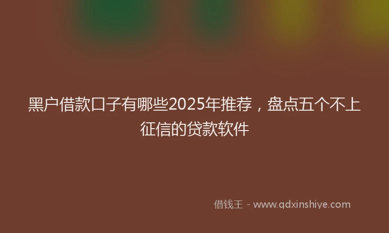 黑户借款口子有哪些2025年推荐，盘点五个不上征信的贷款软件
