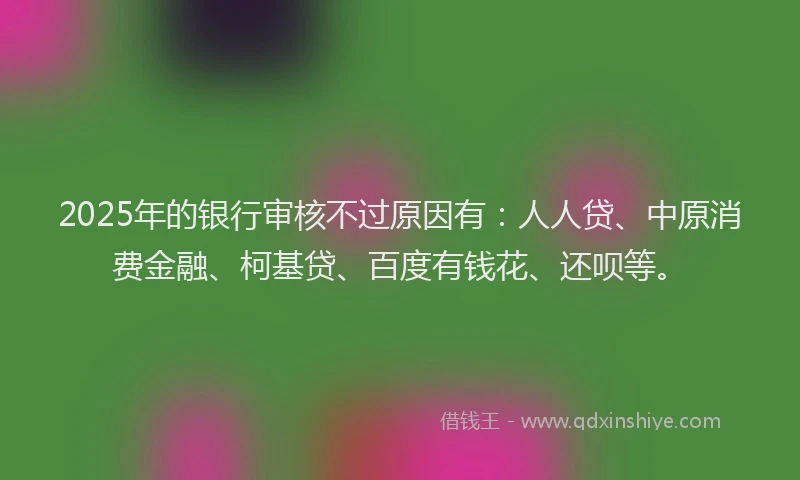 2025年的银行审核不过原因有：人人贷、中原消费金融、柯基贷、百度有钱花、还呗等。
