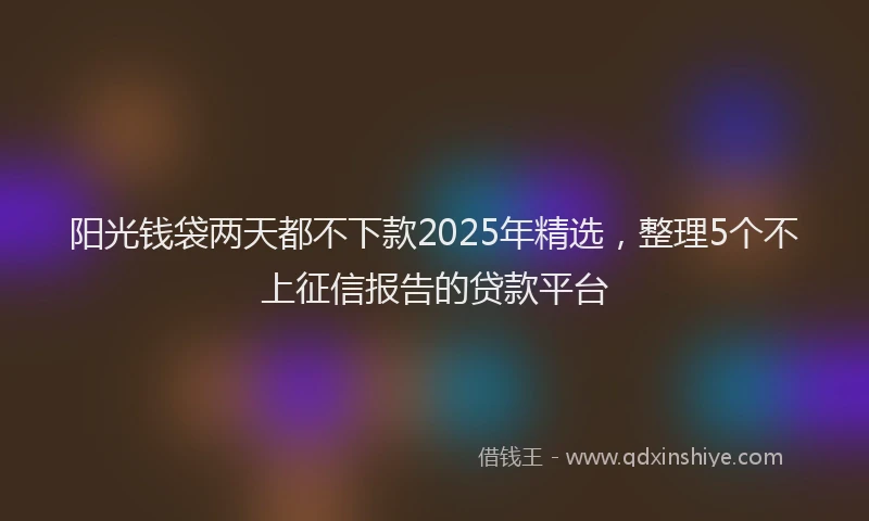 阳光钱袋两天都不下款2025年精选，整理5个不上征信报告的贷款平台