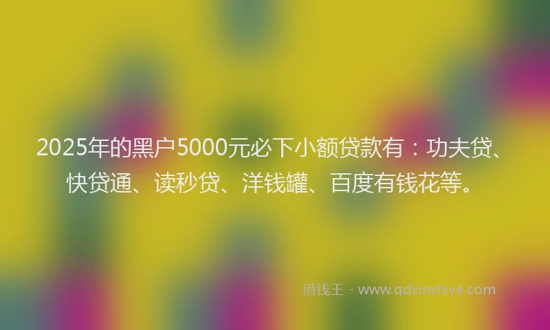 2025年的黑户5000元必下小额贷款有：功夫贷、快贷通、读秒贷、洋钱罐、百度有钱花等。