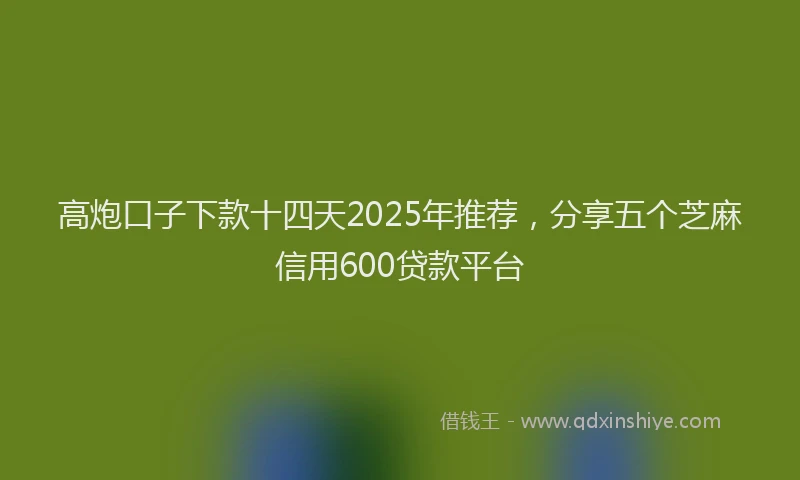 高炮口子下款十四天2025年推荐，分享五个芝麻信用600贷款平台