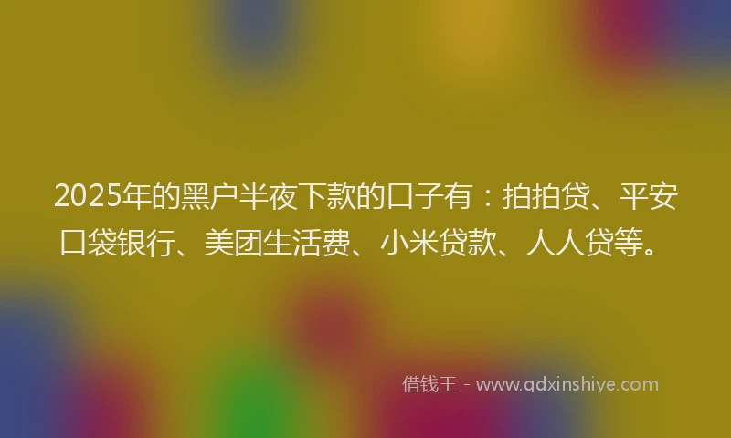 2025年的黑户半夜下款的口子有：拍拍贷、平安口袋银行、美团生活费、小米贷款、人人贷等。