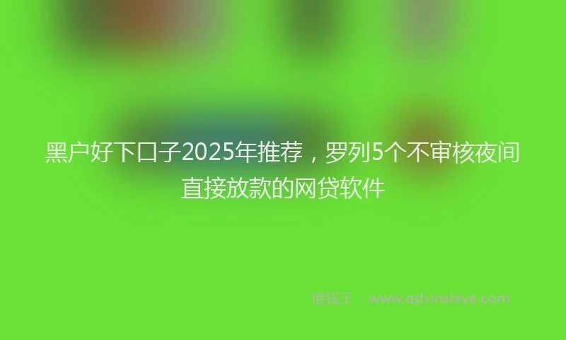 黑户好下口子2025年推荐，罗列5个不审核夜间直接放款的网贷软件