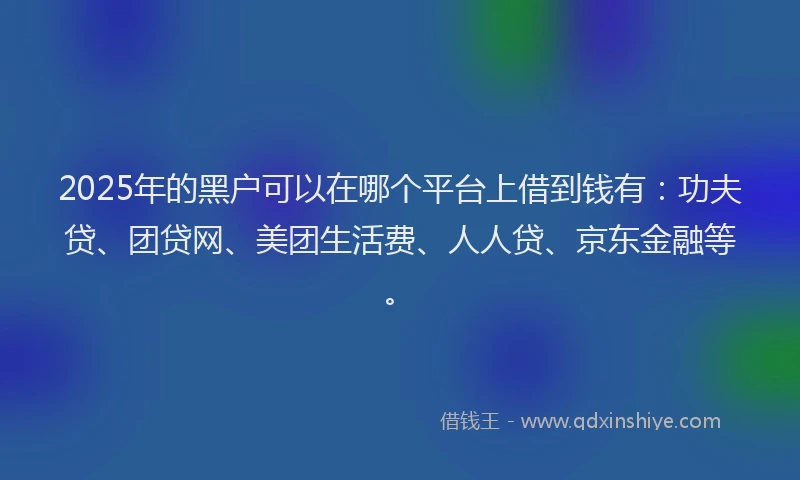 2025年的黑户可以在哪个平台上借到钱有：功夫贷、团贷网、美团生活费、人人贷、京东金融等。