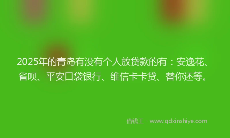 2025年的青岛有没有个人放贷款的有：安逸花、省呗、平安口袋银行、维信卡卡贷、替你还等。