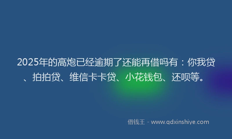 2025年的高炮已经逾期了还能再借吗有：你我贷、拍拍贷、维信卡卡贷、小花钱包、还呗等。