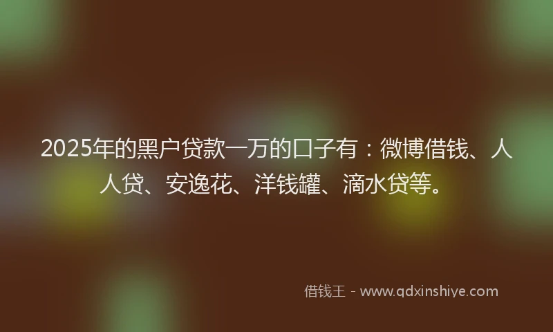 2025年的黑户贷款一万的口子有：微博借钱、人人贷、安逸花、洋钱罐、滴水贷等。