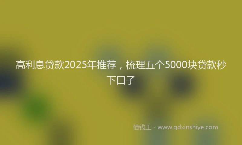 高利息贷款2025年推荐，梳理五个5000块贷款秒下口子