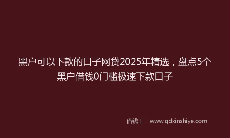 黑户可以下款的口子网贷2025年精选，盘点5个黑户借钱0门槛极速下款口子