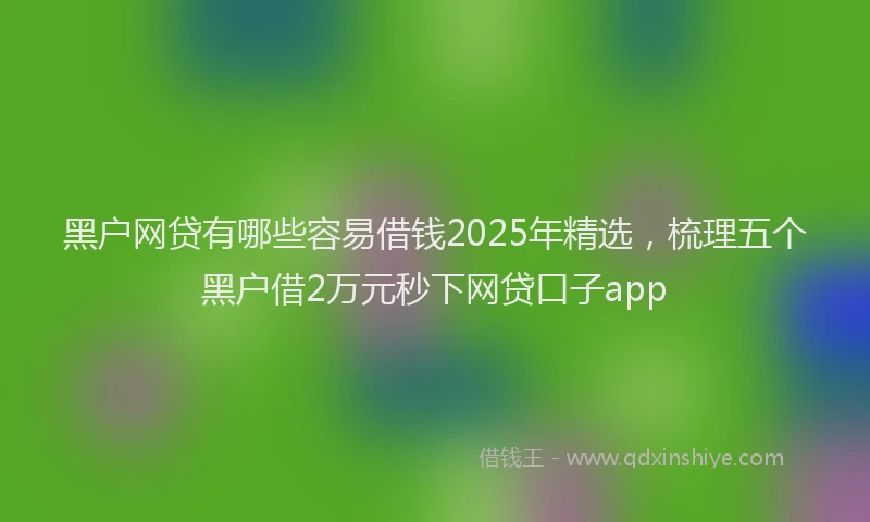 黑户网贷有哪些容易借钱2025年精选，梳理五个黑户借2万元秒下网贷口子app