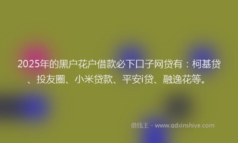 2025年的黑户花户借款必下口子网贷有：柯基贷、投友圈、小米贷款、平安i贷、融逸花等。