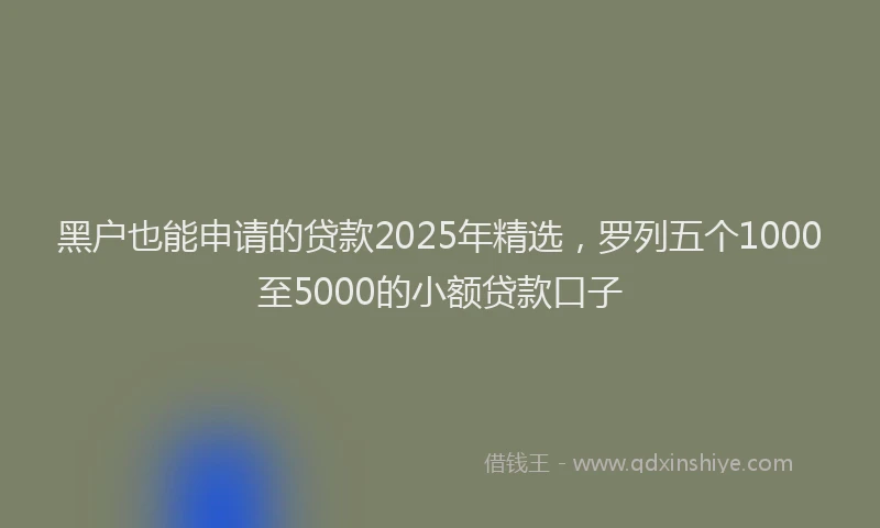 黑户也能申请的贷款2025年精选，罗列五个1000至5000的小额贷款口子