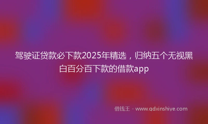驾驶证贷款必下款2025年精选，归纳五个无视黑白百分百下款的借款app