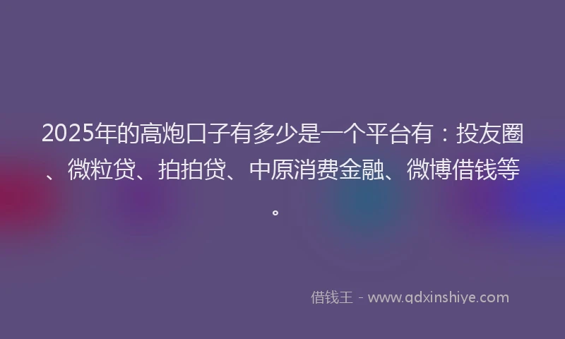 2025年的高炮口子有多少是一个平台有：投友圈、微粒贷、拍拍贷、中原消费金融、微博借钱等。