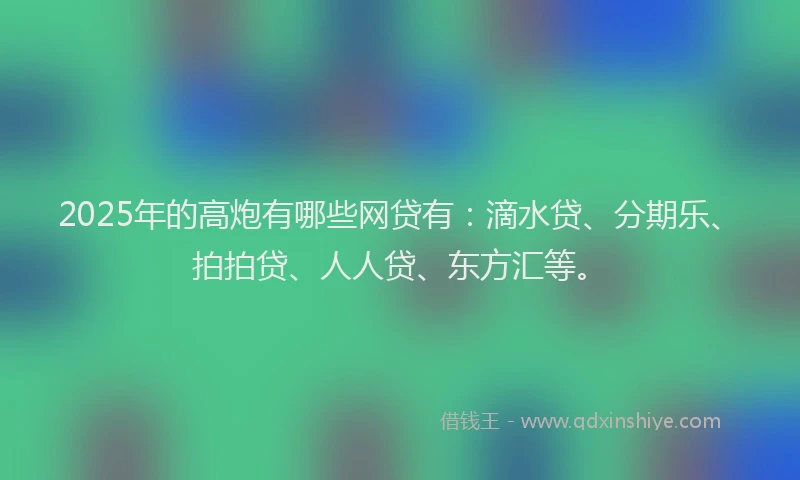 2025年的高炮有哪些网贷有：滴水贷、分期乐、拍拍贷、人人贷、东方汇等。
