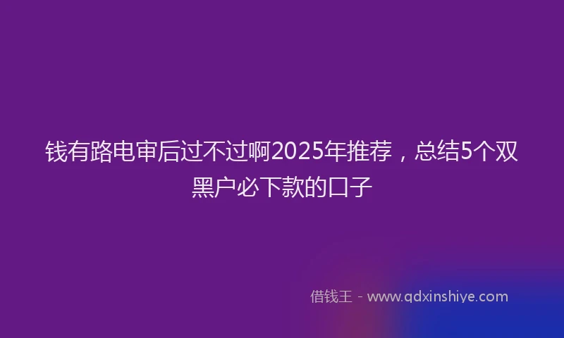钱有路电审后过不过啊2025年推荐，总结5个双黑户必下款的口子