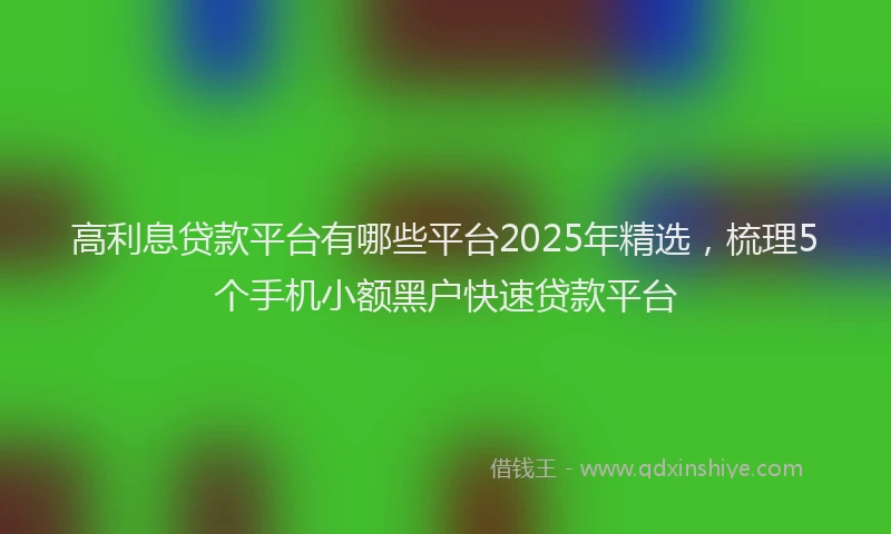 高利息贷款平台有哪些平台2025年精选，梳理5个手机小额黑户快速贷款平台