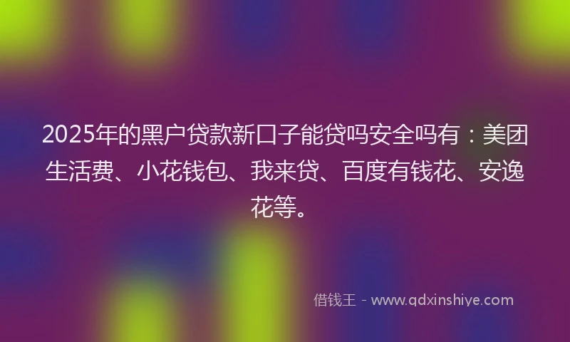 2025年的黑户贷款新口子能贷吗安全吗有：美团生活费、小花钱包、我来贷、百度有钱花、安逸花等。