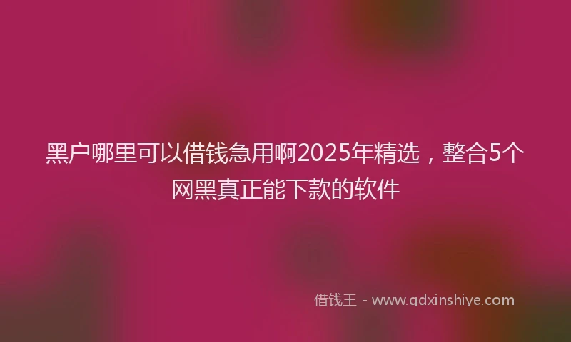 黑户哪里可以借钱急用啊2025年精选，整合5个网黑真正能下款的软件