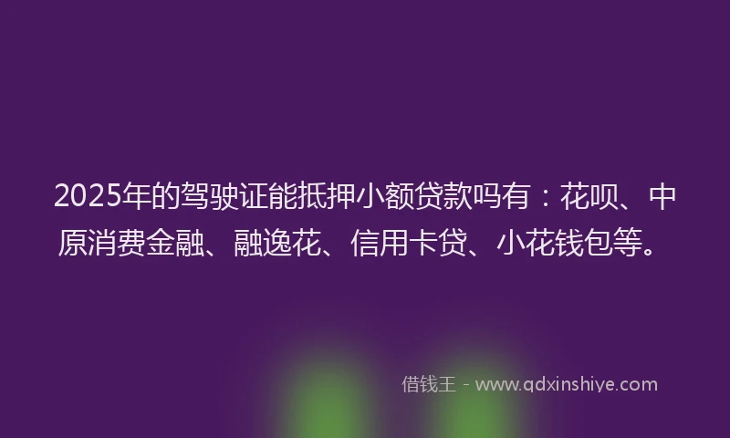 2025年的驾驶证能抵押小额贷款吗有：花呗、中原消费金融、融逸花、信用卡贷、小花钱包等。