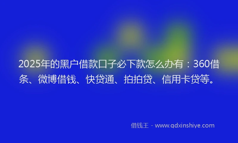 2025年的黑户借款口子必下款怎么办有：360借条、微博借钱、快贷通、拍拍贷、信用卡贷等。