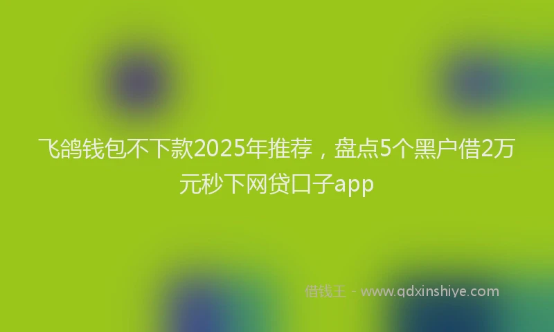 飞鸽钱包不下款2025年推荐，盘点5个黑户借2万元秒下网贷口子app