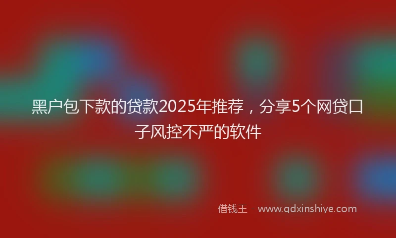黑户包下款的贷款2025年推荐，分享5个网贷口子风控不严的软件