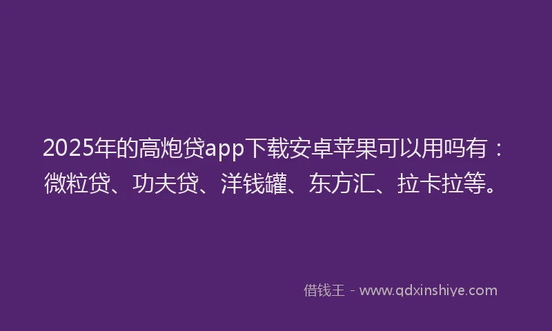 2025年的高炮贷app下载安卓苹果可以用吗有：微粒贷、功夫贷、洋钱罐、东方汇、拉卡拉等。