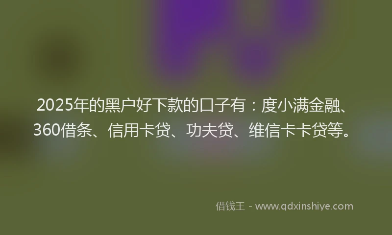 2025年的黑户好下款的口子有：度小满金融、360借条、信用卡贷、功夫贷、维信卡卡贷等。