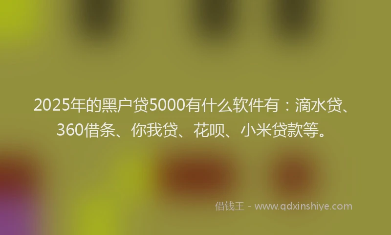 2025年的黑户贷5000有什么软件有：滴水贷、360借条、你我贷、花呗、小米贷款等。