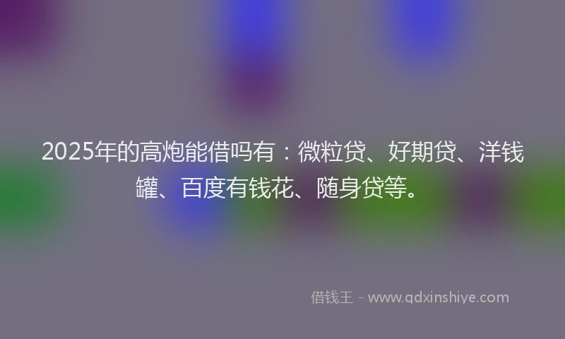 2025年的高炮能借吗有：微粒贷、好期贷、洋钱罐、百度有钱花、随身贷等。
