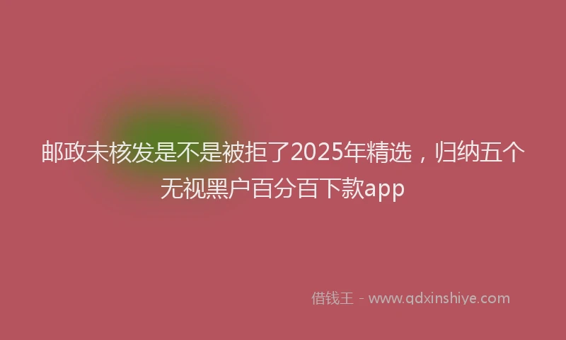 邮政未核发是不是被拒了2025年精选，归纳五个无视黑户百分百下款app