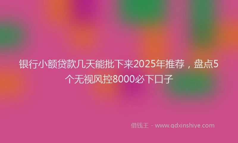 银行小额贷款几天能批下来2025年推荐，盘点5个无视风控8000必下口子