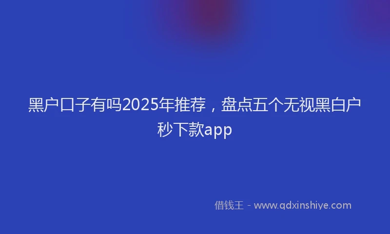 黑户口子有吗2025年推荐，盘点五个无视黑白户秒下款app