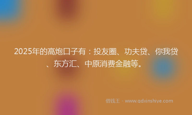 2025年的高炮口子有：投友圈、功夫贷、你我贷、东方汇、中原消费金融等。