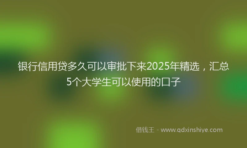 银行信用贷多久可以审批下来2025年精选，汇总5个大学生可以使用的口子