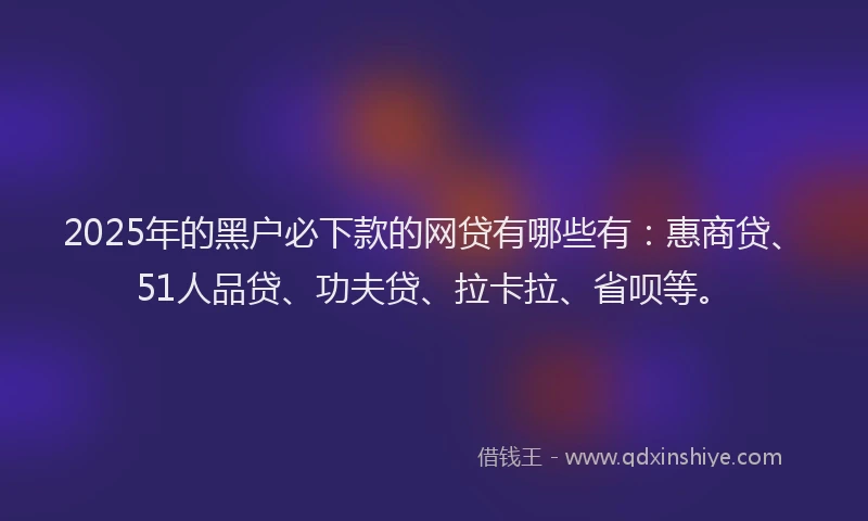 2025年的黑户必下款的网贷有哪些有：惠商贷、51人品贷、功夫贷、拉卡拉、省呗等。